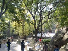 -青岛崂山太清宫