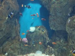 -福州罗源湾海洋世界旅游区