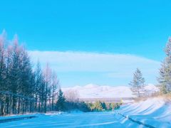 -塞罕坝国家级自然保护区