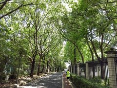 -上海佘山国家森林公园西佘山园