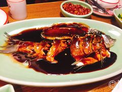 -新白鹿餐厅(城西银泰城店)