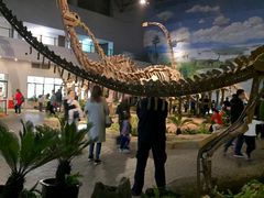 -自贡恐龙博物馆