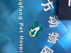 -东方动物医院·宠保定点·骨科·转诊中心(春城路·昆明站分院)