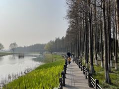 -苏州太湖湖滨国家湿地公园