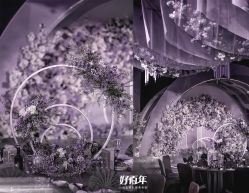 -华侨城洲际大酒店·宴会厅