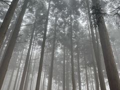 -罗田薄刀峰风景区