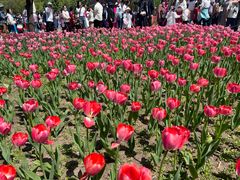 -长春公园(普阳街道)