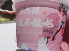 -大鸭梨烤鸭(顺义石园店)