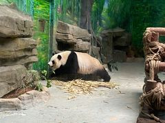 -灵玲国际马戏城