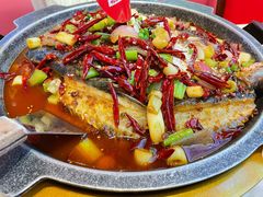 -南锣肥猫·麻辣烤鱼·15年现烤现卖(通州领展店)