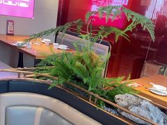 -老板恋上鱼(恒隆广场店)