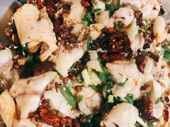 百岁鱼火锅-百岁鱼(七一路店)