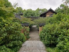 -习家池