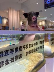 -meland亲子乐园•派对•研学(苏州悠方购物中心店)