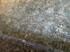 -明谷行馆·温泉