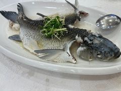 盐油蒸山坑皖鱼-寻味顺德·南记酒家·传统顺德菜·鱼生(广源路店)