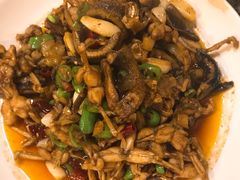 -龙小海荆沙鸽子店(瑞安街店)