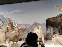 -陕西自然博物馆