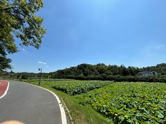 -周立波故居