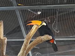 -海合安武汉极地海洋公园