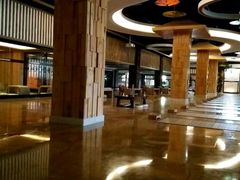 -将军石酒店温泉