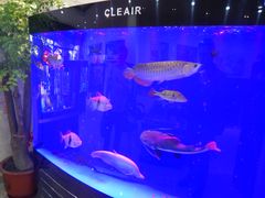 -溪岸路花鸟市场