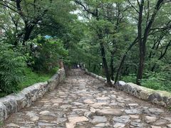 -阳台山自然风景区