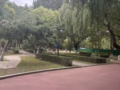 -沈阳中山公园