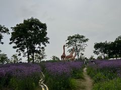 -季高兔窝窝亲子园(上海薰衣草公园店)