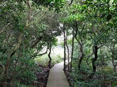 -东寨港红树林旅游区