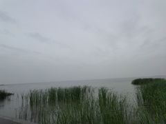-卧龙湖