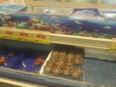 -国惠大酒楼(宝龙店)