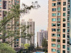 -香港大学