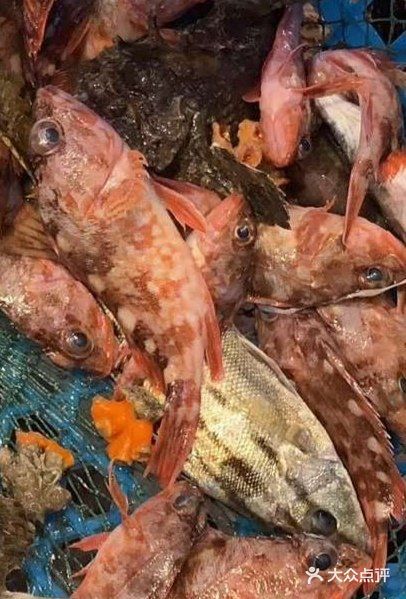 狮公鱼煲汤狮公鱼闽南语