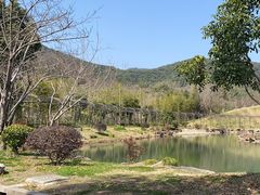-兰亭风景区