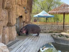 -沈阳森林动物园