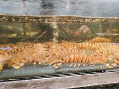 -龙宴海鲜城(经中路店)