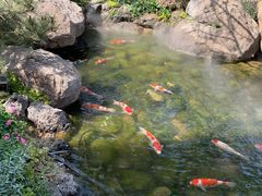 -罗红摄影艺术馆