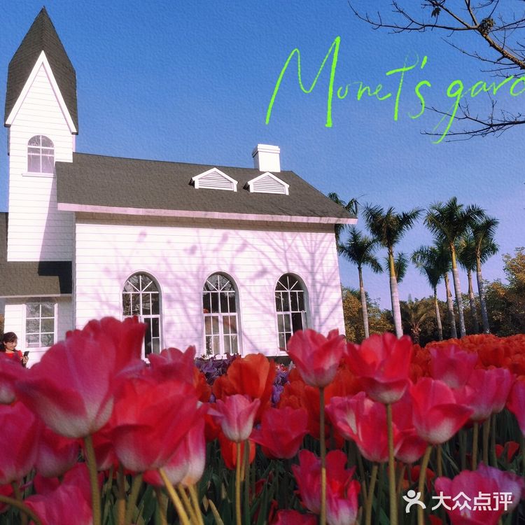 🌷园博苑•荷兰园郁金香•异域风情🌷