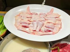 -顺德公·广东猪肚鸡(车公庙总店)