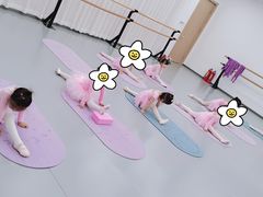 -中央芭蕾舞团·中芭艺蕾(酒仙桥明星校区)
