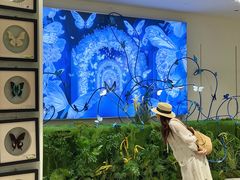 -深圳龙华星河COCO City(民治店)