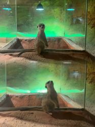 -酷嗒动物文化乐园(cutezoo西溪乐天城店)