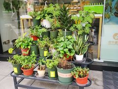 -欢牛蛋糕屋(萧山万象汇店)