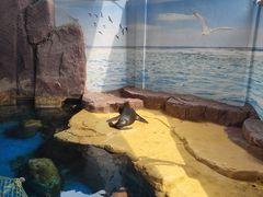-海合安武汉极地海洋公园