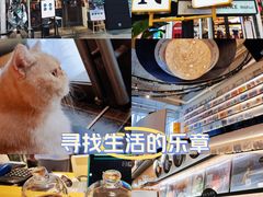 -黑胶星球(华发中城商都店)