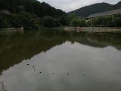 -玉华宫景区