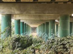 -灞河西岸滨河公园