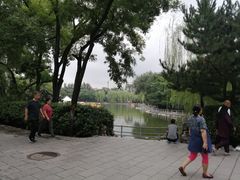 -莲湖公园