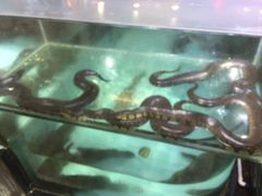 -渔民新村(番禺总店)